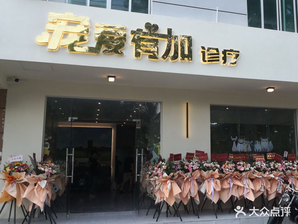 宠爱有加诊疗