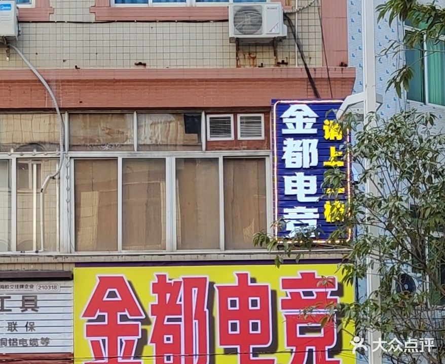 金都电竞