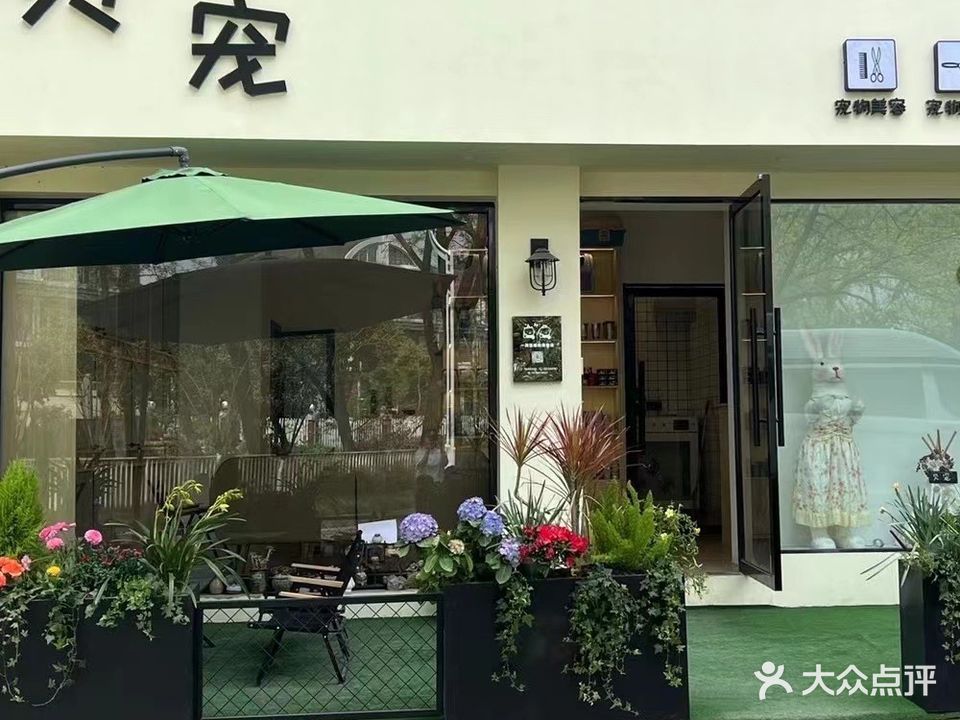 贝宠宠物生活馆(桥东店)