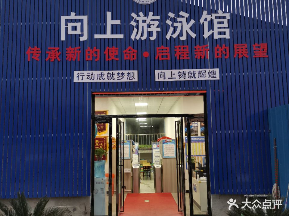 向上游泳馆