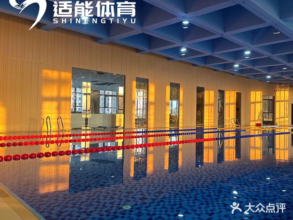 适能游泳健身