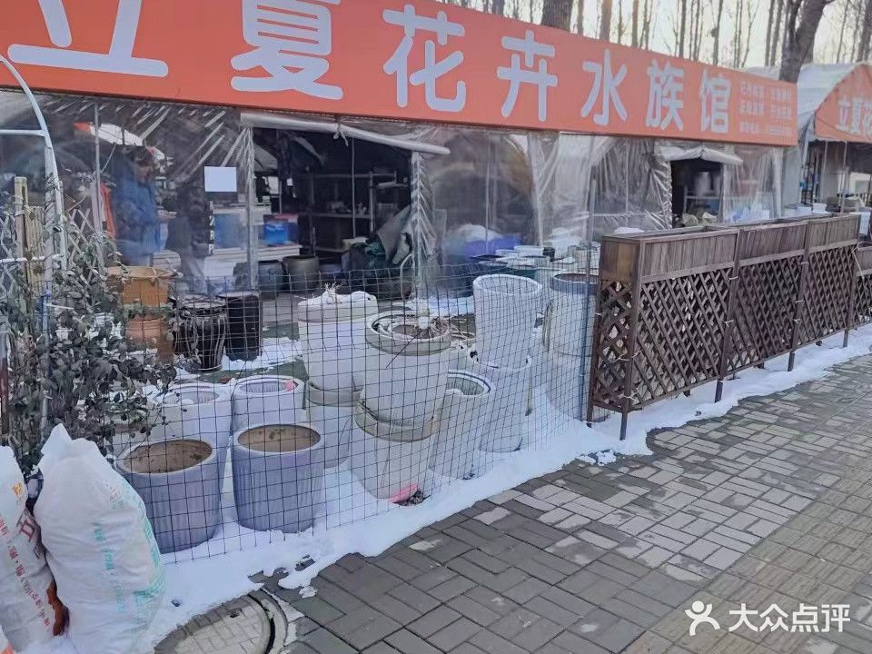 立夏花卉水族(兰陵县代村商城店)