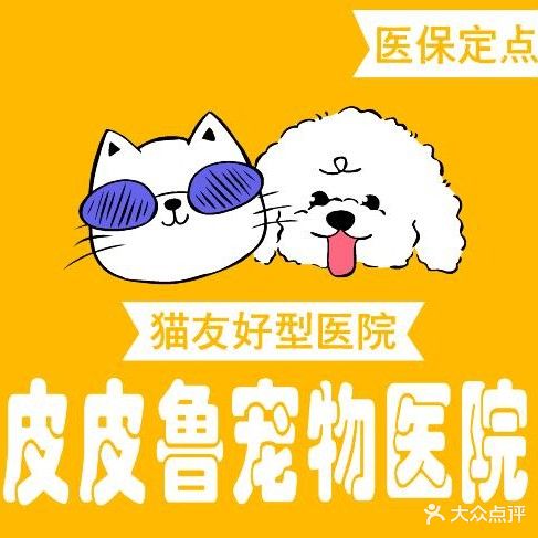 皮皮鲁宠物医院猫友好型医院(金城华府店)