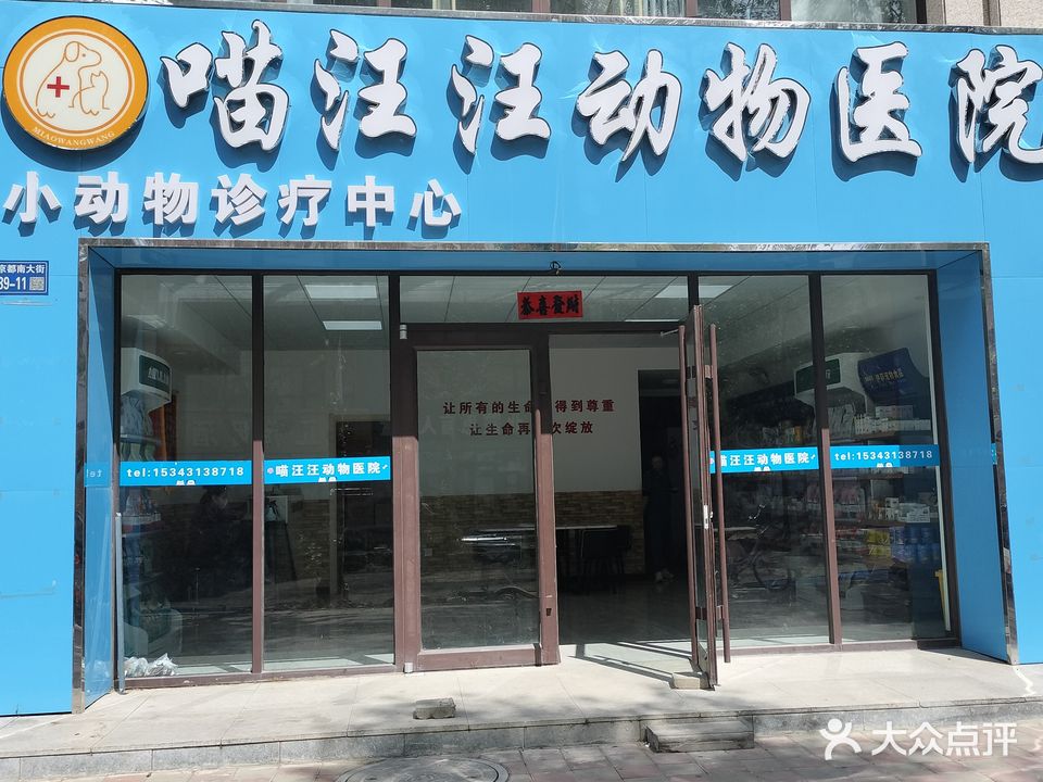 喵汪汪动物医院