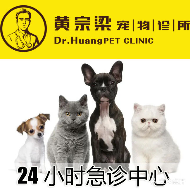 黄宗梁宠物诊所