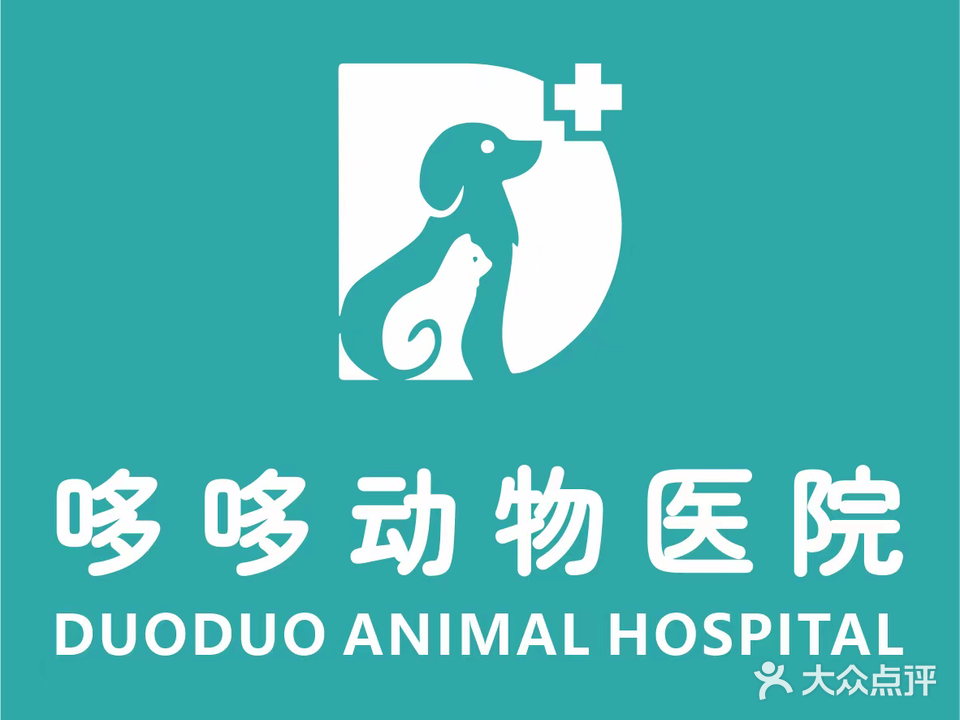 哆哆动物医院
