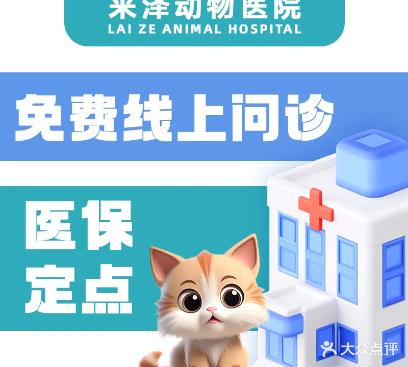 来泽动物医院
