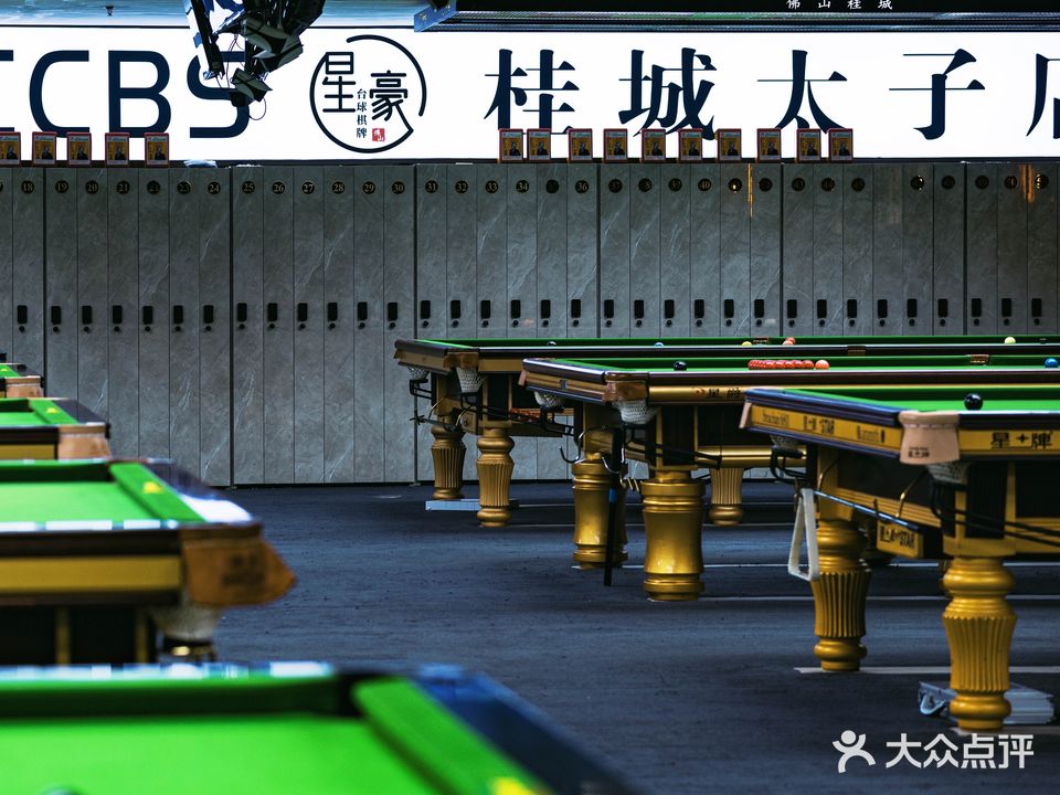 星豪桌球桂城太子店