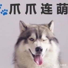 爪爪连萌
