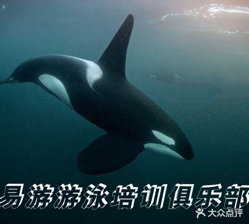 易游游泳培训俱乐部(广州路店)