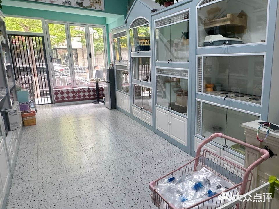 韩小宝宠物生活馆