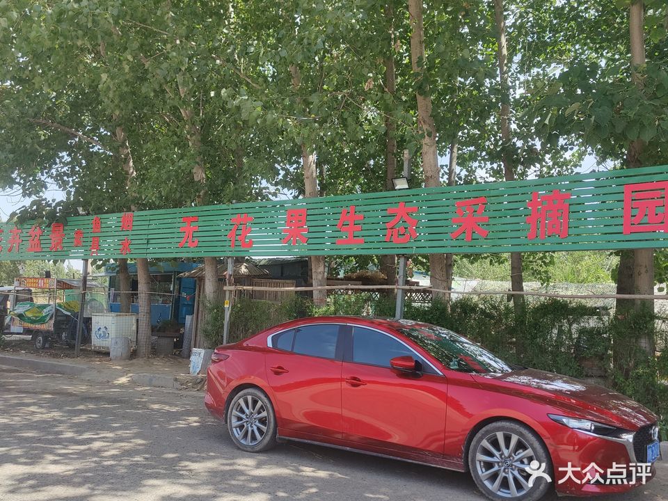 花卉盆景无花果生态采摘园