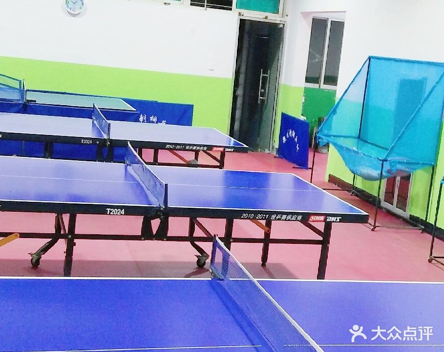 刺桐乒乓球