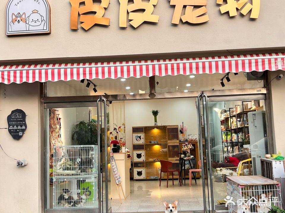 皮皮宠物(文昌北路店)