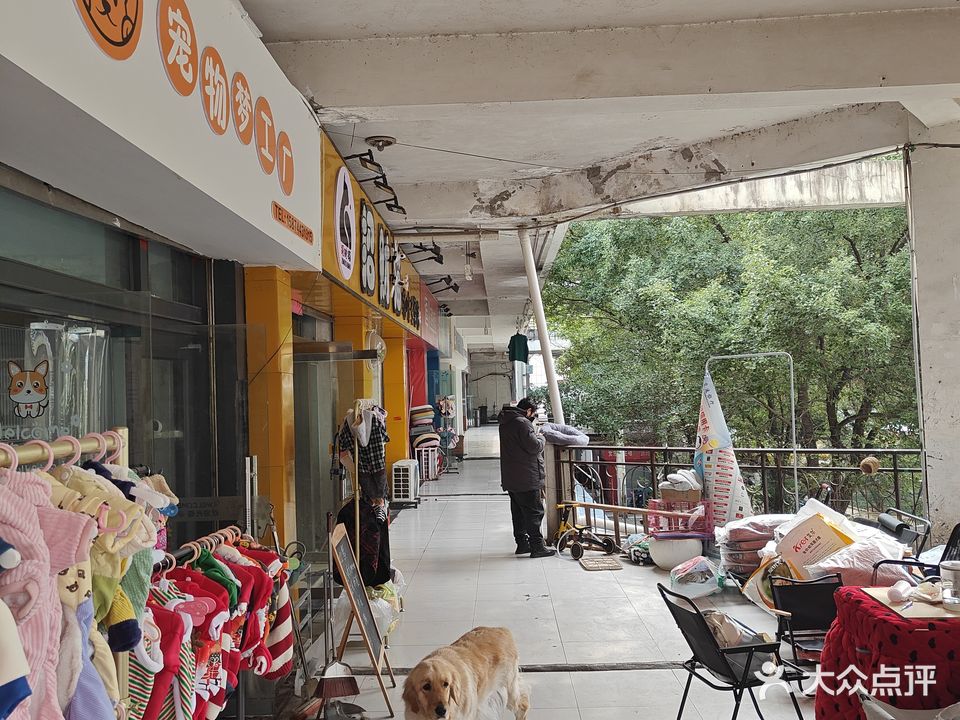 宠物梦工厂(旅游商业步行街店)