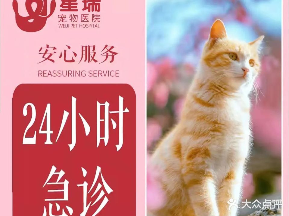 纬济星瑞动物医疗