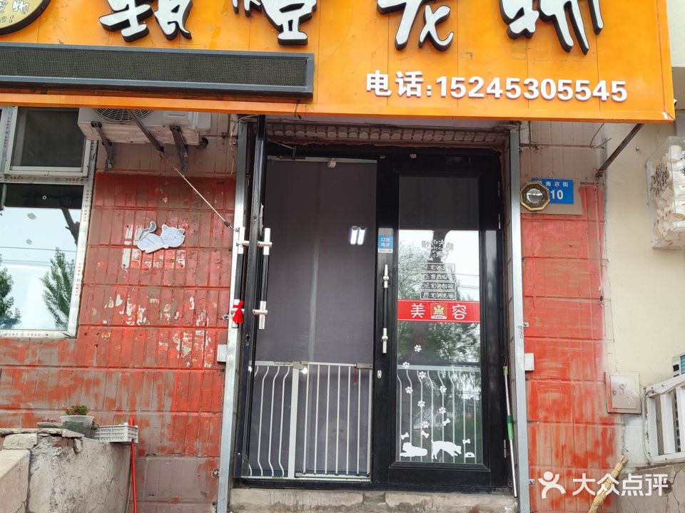 甄橙宠物