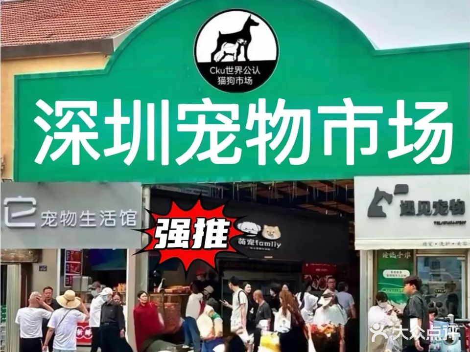 顺大萌宠