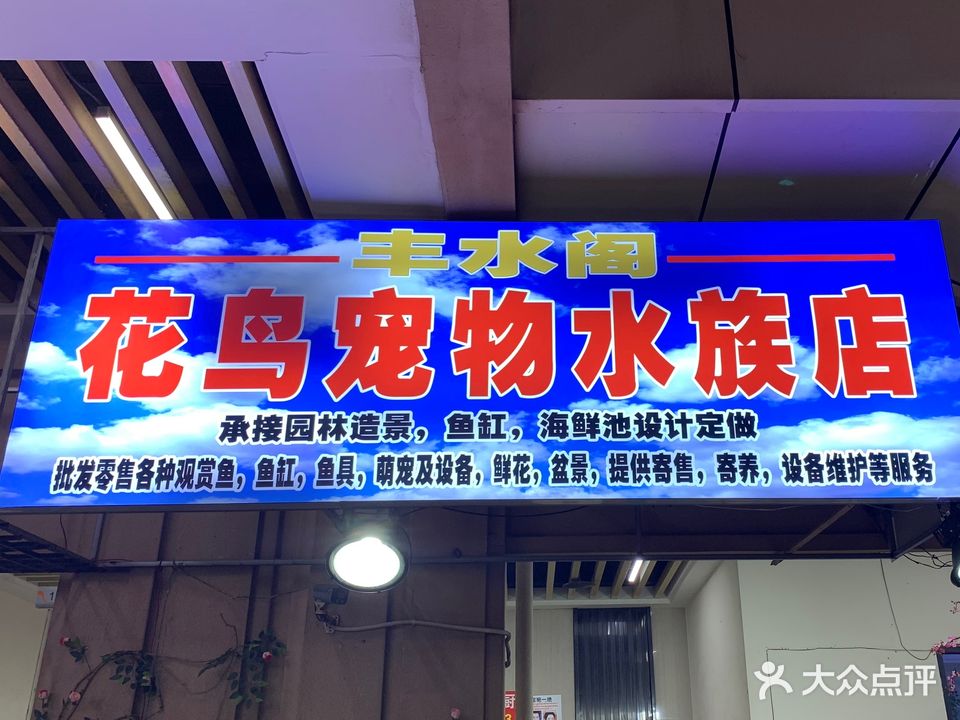 丰水阁花鸟宠物水族店(远大购物中心店)