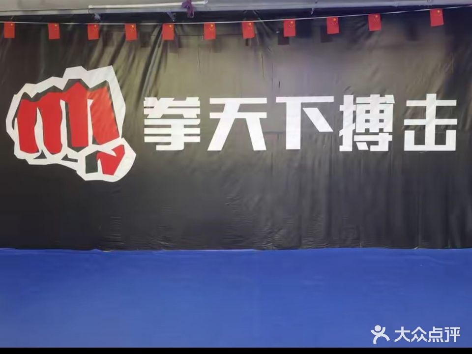 颍上拳天下搏击