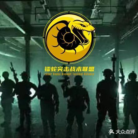 镭蛇突击战术联盟真人cs