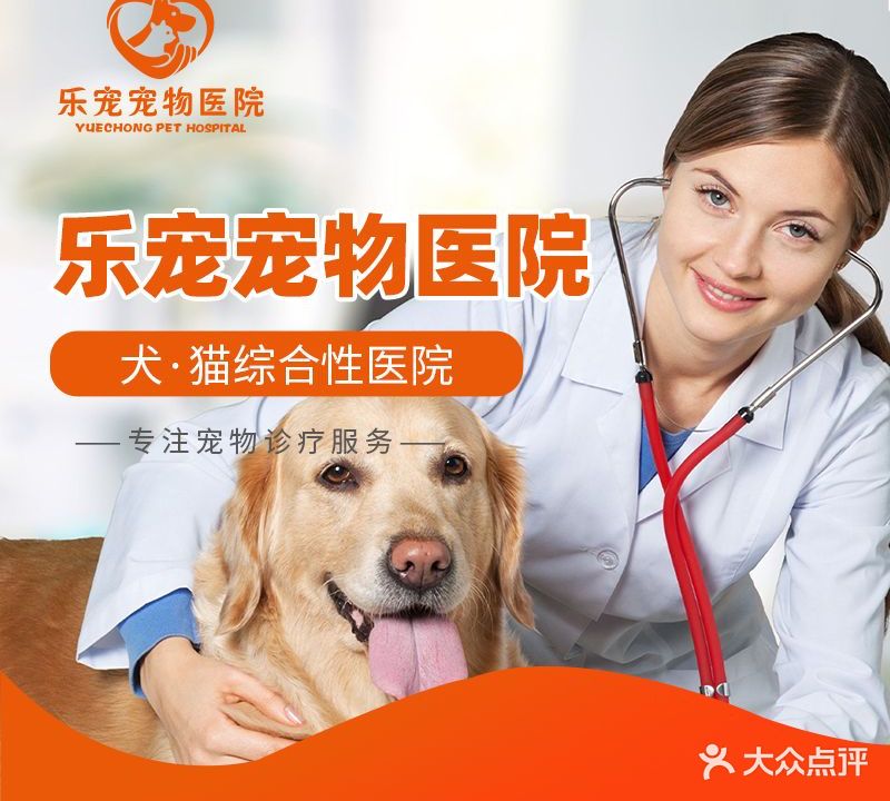 乐宠宠物诊所(商贸城店)