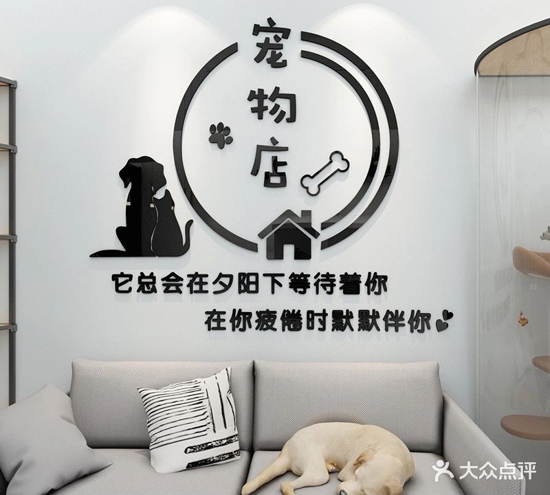 嗨宠