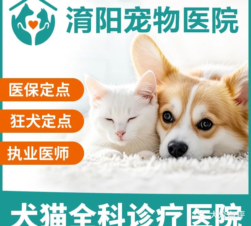 淯阳宠物诊所