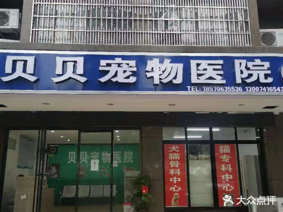 贝贝宠物医院(湖滨路店)