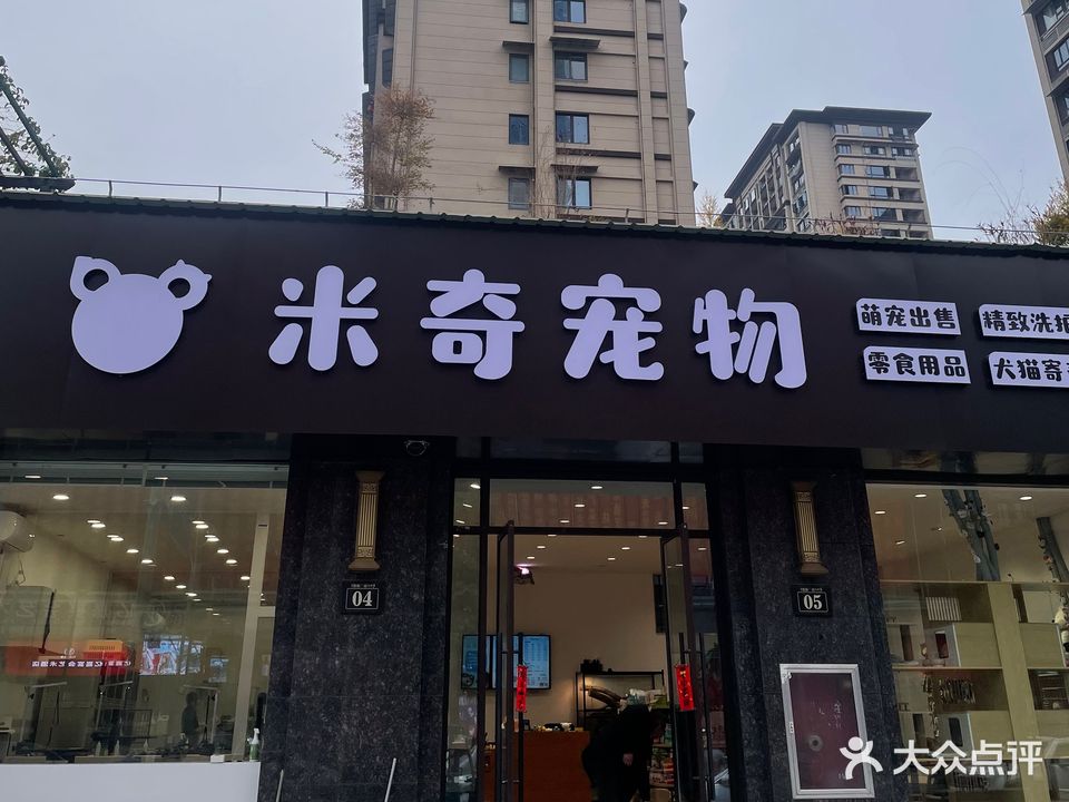 米奇宠物