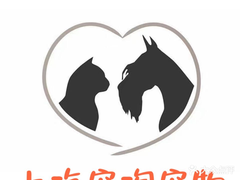 宠淘宠物