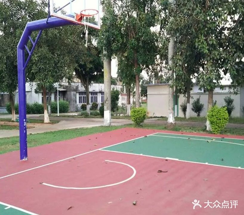 老地委篮球场