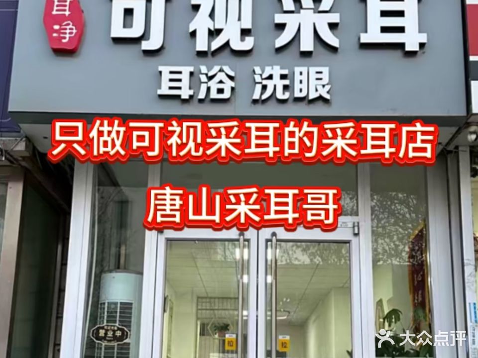 耳净可视采耳(袁大里华育楼三组团店)