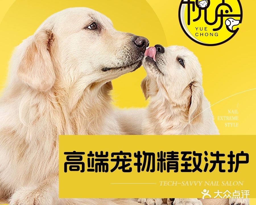 悦宠宠物