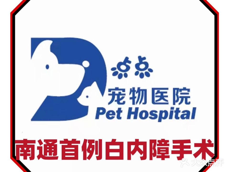 点点宠物医院
