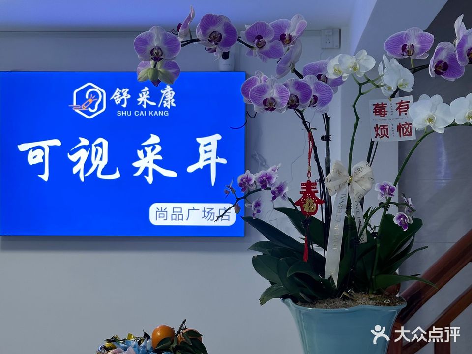 舒采康可视采耳