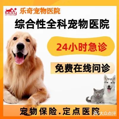 乐奇宠物医院(24小时急诊中心)