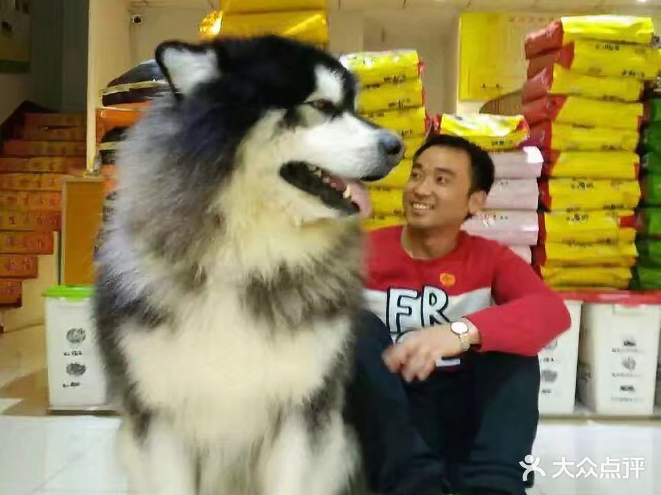 皇家宠物生活会馆(晨光店)