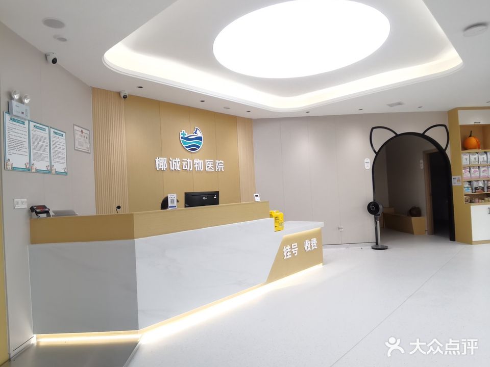 椰诚动物医院·微创·急重症转诊中心(王府井院)