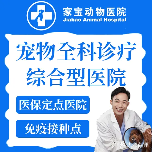 家宝动物医院·急重症转诊·骨科·异宠