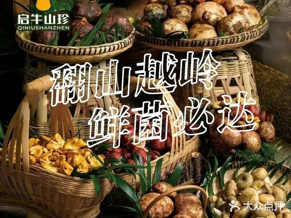 启牛山珍·云南野生菌牛肉火锅(郴州总店)