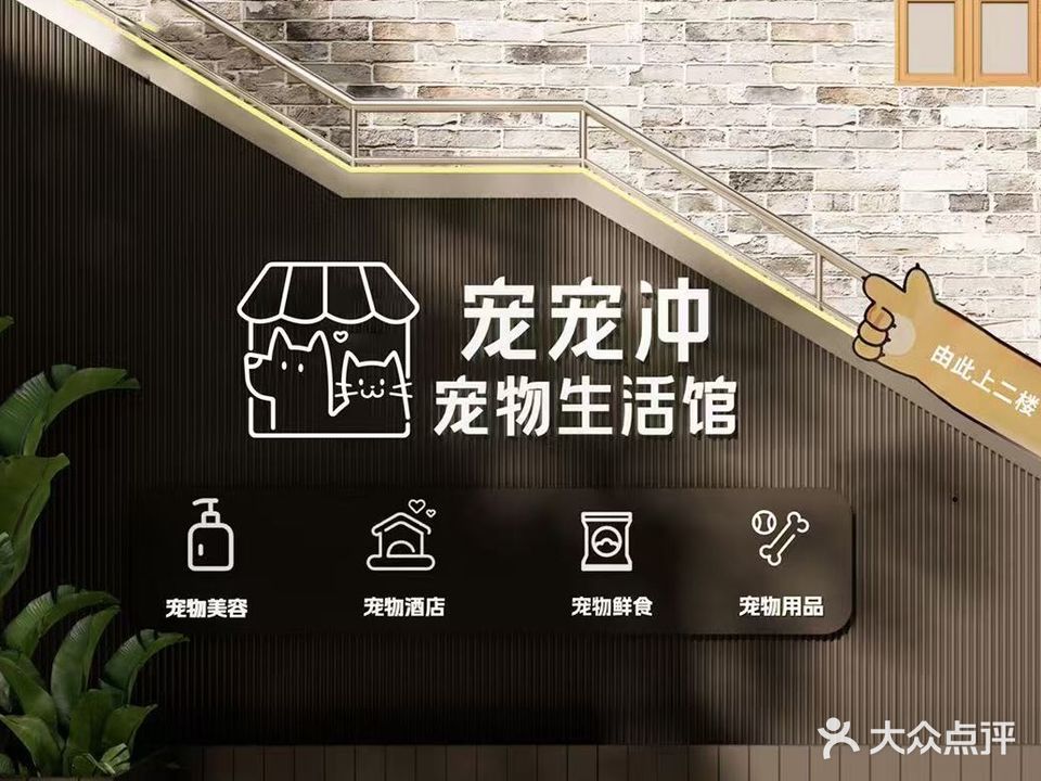 宠宠冲宠物公园