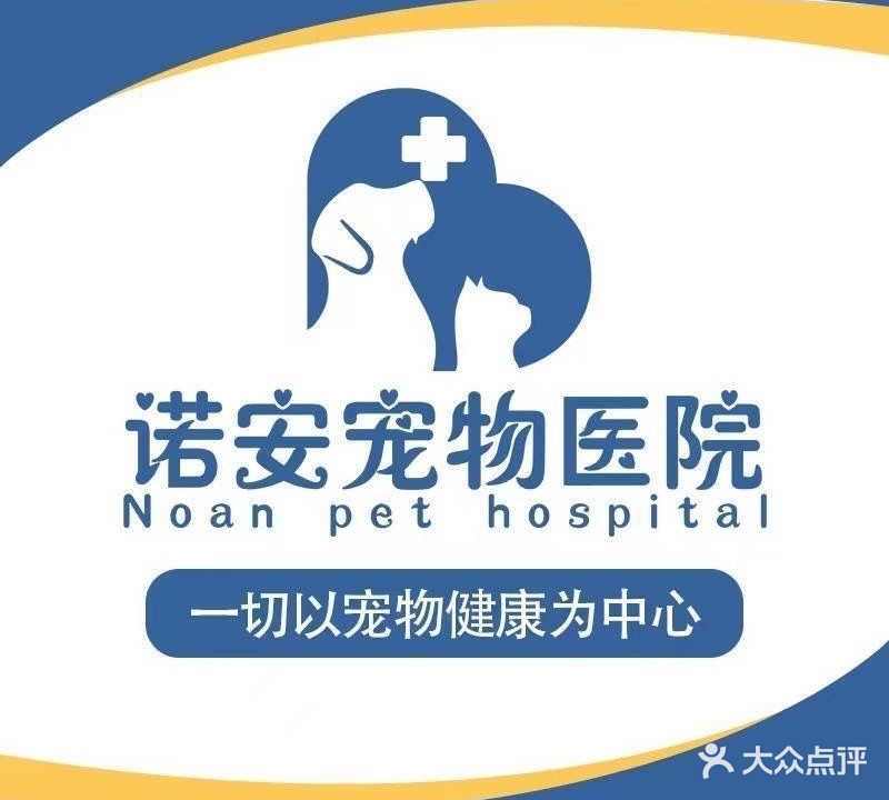 诺安宠物医院·内窥镜微创手术·猫专科·骨科(鞍山一路店)
