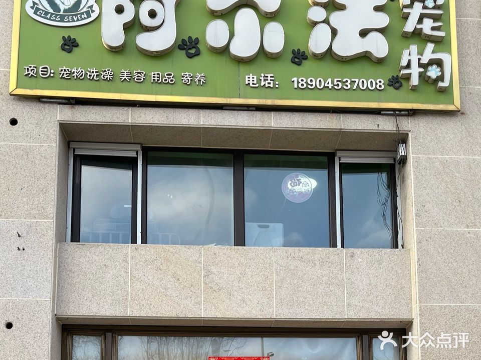 阿尔法宠物