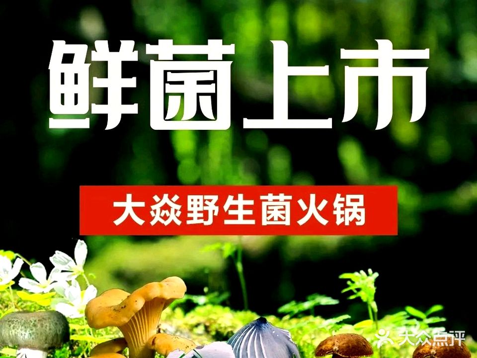 大焱野生菌火锅(建水小桂湖店)