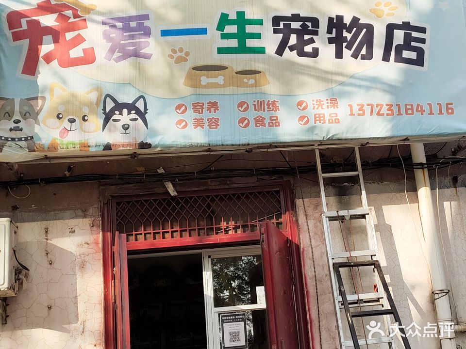 宠爱一生宠物店(北环路店)