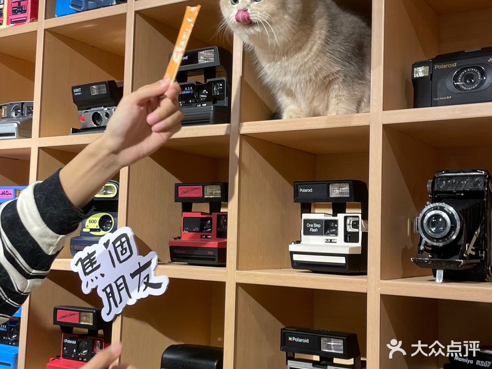 焦個朋友(山城巷店)