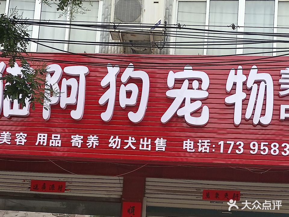 阿猫阿狗宠物美容中心