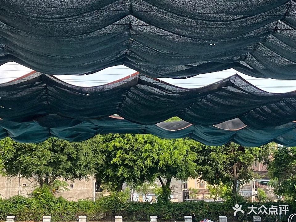 雁园游泳池