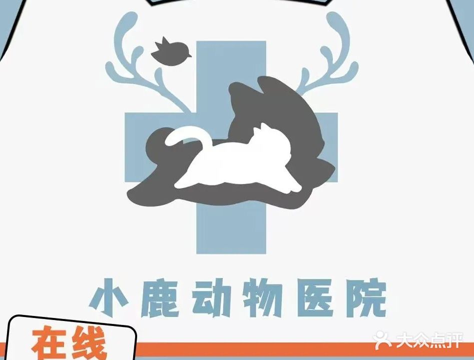 小鹿动物医院